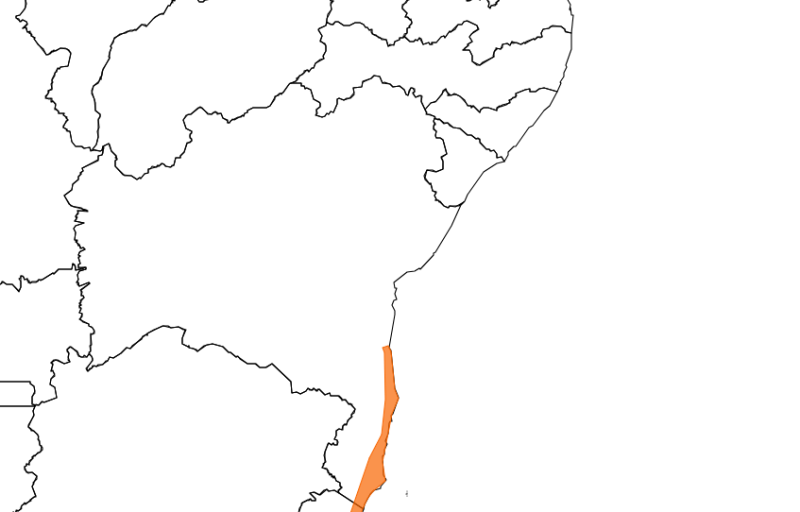 Card imagex